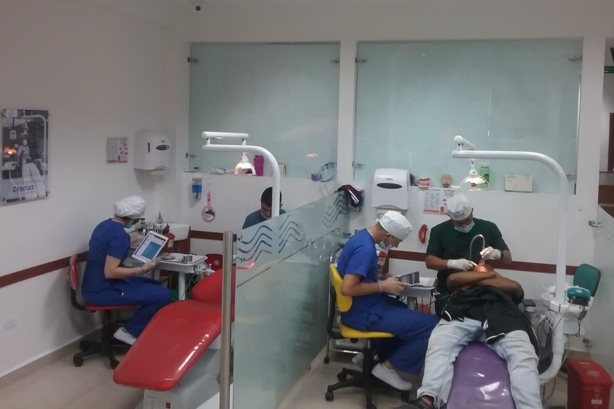 Dentali odontologia